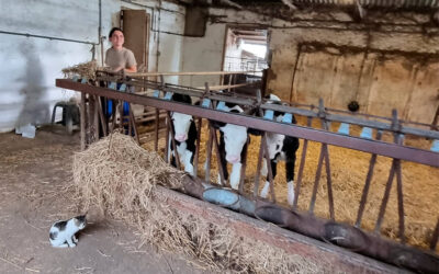 Casi 400 explotaciones se acercan a la agricultura regenerativa a través de la EIT Food con una apuesta por la agroganadería regenerativa