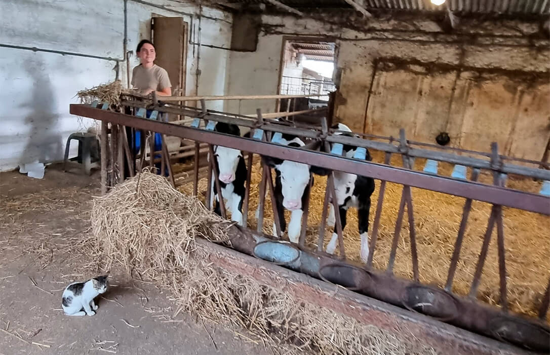 Casi 400 explotaciones se acercan a la agricultura regenerativa a través de la EIT Food con una apuesta por la agroganadería regenerativa