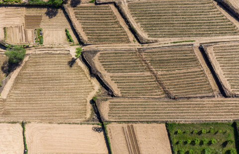 Los créditos a la naturaleza: las ayudas europeas para adaptar al campo ante el cambio climático que nace con «cantos de sirena»