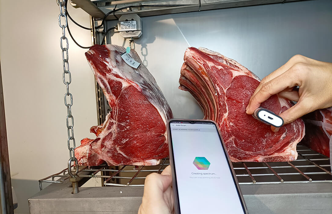 Información y formación para una carne madurada segura y de calidad de la mano del proyecto demostrativo INNOVAMAD y el IRTA