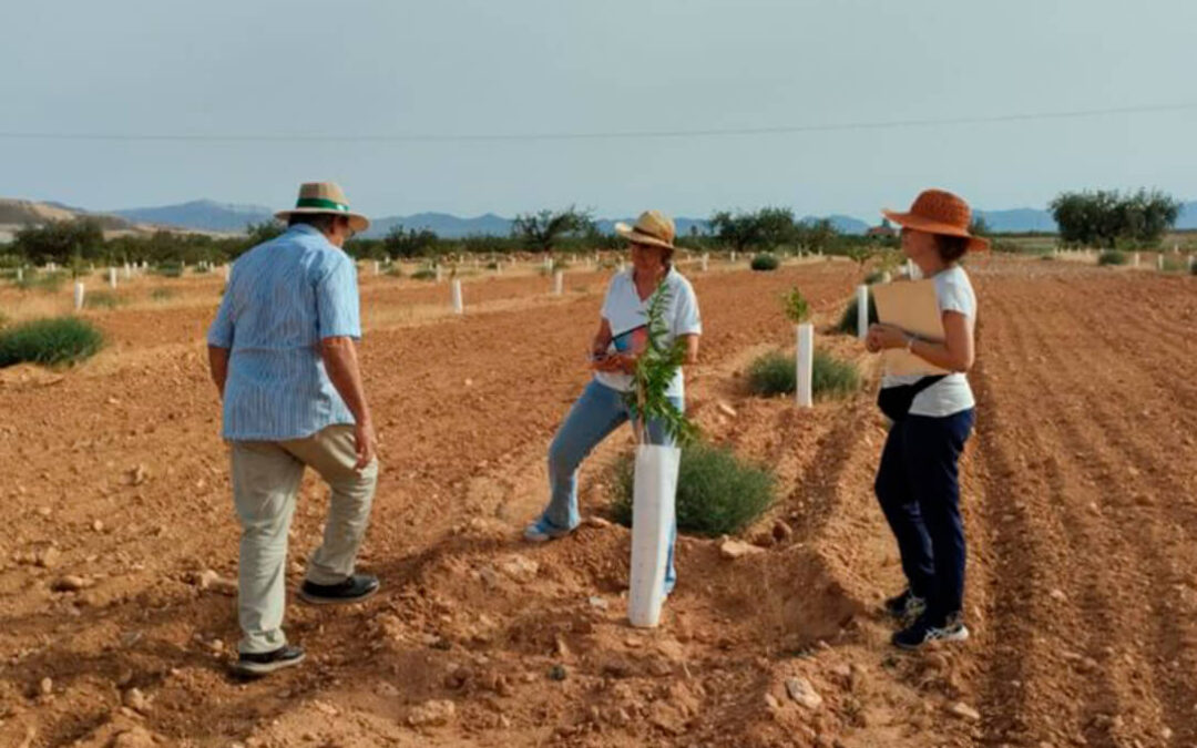 CultivEco: puesta en marcha de la Red de “Fincas Faro” y “Fincas Piloto” para el impulso de la agricultura ecológica en el Mar Menor