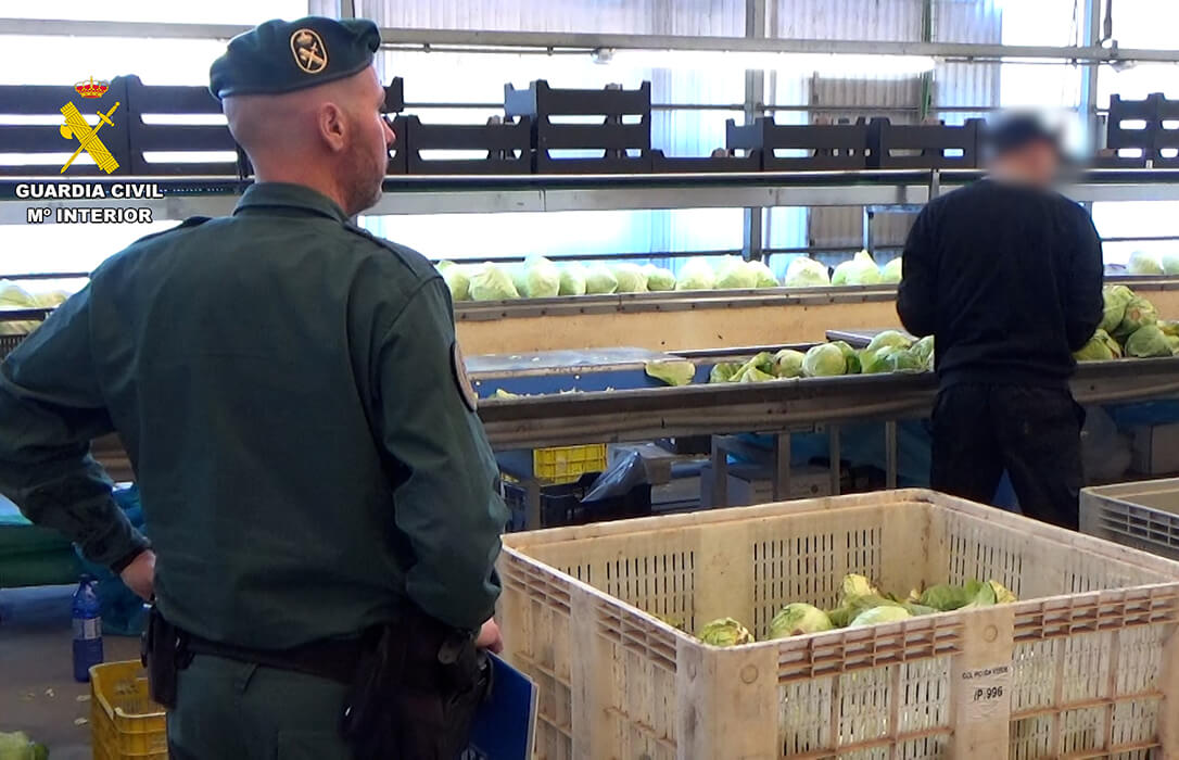 Cae una banda que vendió dos millones de kilos de frutas y verduras como ecológicas en mercados europeos en los últimos seis meses