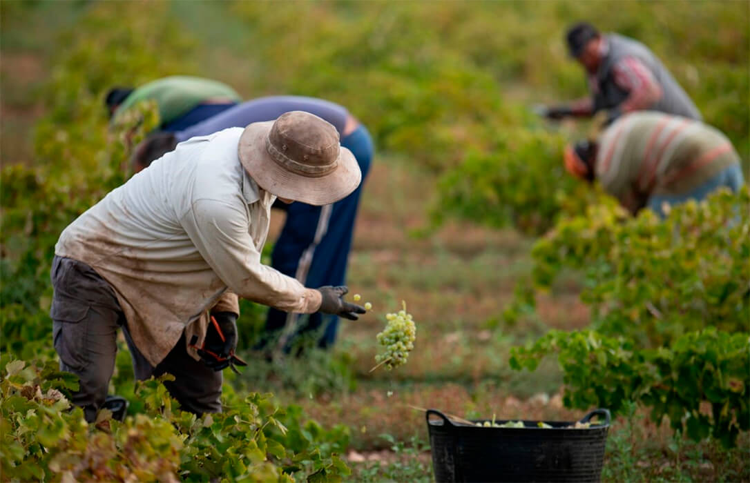 Indefensión ante la normativa laboral: «Los que elaboran estas normas son desconocedores totales de la realidad del sector agrario»