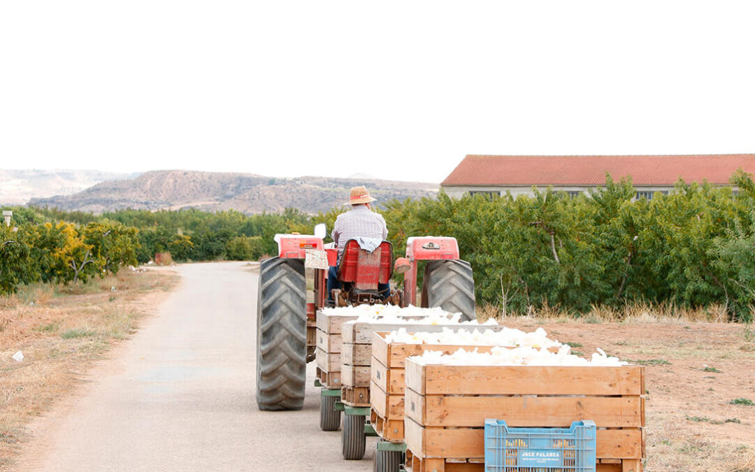 El PIB agrícola cae el 2,9% en el segundo trimestre, más de doble del anunciado de forma provisional hace un mes