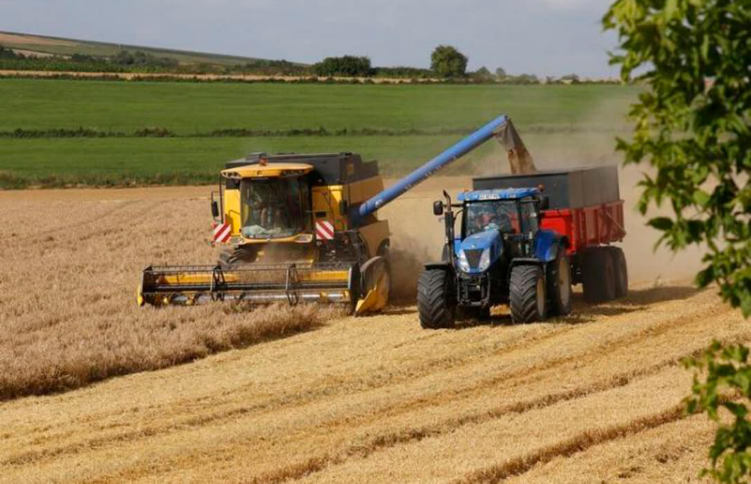 Una semana más de subidas en las lonjas nacionales de cereales mientras el mercado internacional baja esta semana