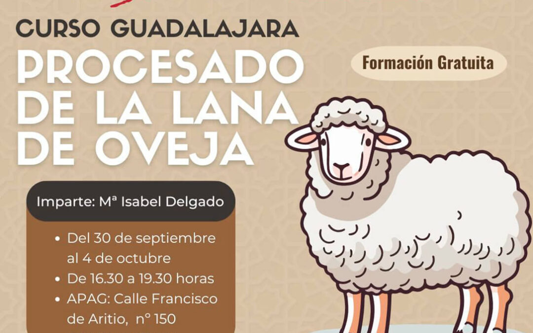 AMFAR impulsa un curso gratuito sobre el ‘Procesado de la lana de oveja’ como emprendimiento y para dar solución a un problema ganadero