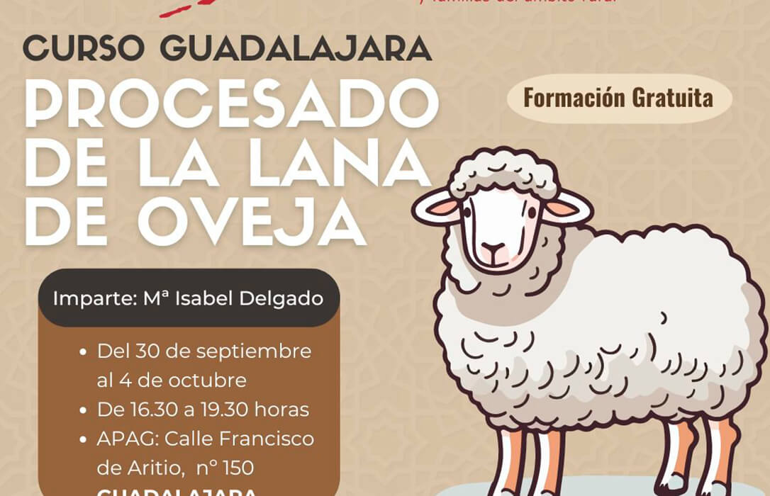 AMFAR impulsa un curso gratuito sobre el ‘Procesado de la lana de oveja’ como emprendimiento y para dar solución a un problema ganadero