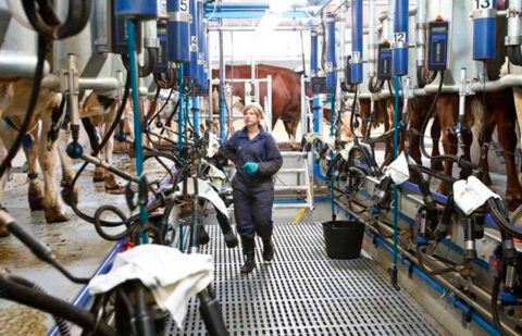 Cuando las barbas de tu vecino veas pelar…: los ganaderos franceses inquietos por el anuncio de Lactalis de reducir un 9% la recogida de leche