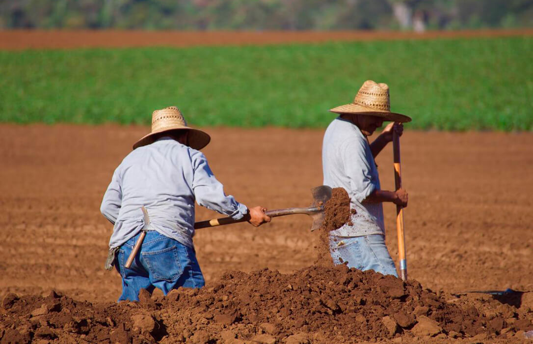 CCOO: «Extremadura tiene mano de obra de sobra para el campo y no hacen falta traer remesas de migrantes de fuera»