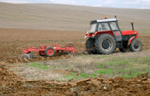 Ayudas fundamentales para el campo: unos 6.500 productores recibirán más de 56 millones del anticipo de la PAC en la provincia de Cádiz