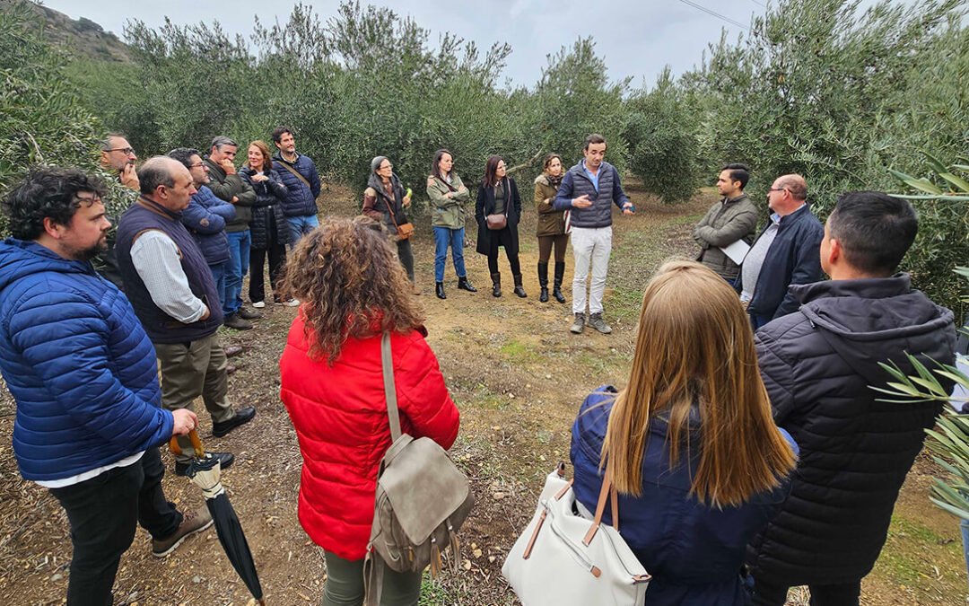 Apuesta por los seguros agrarios como única garantía contra las pérdidas por las adversidades climatológicas