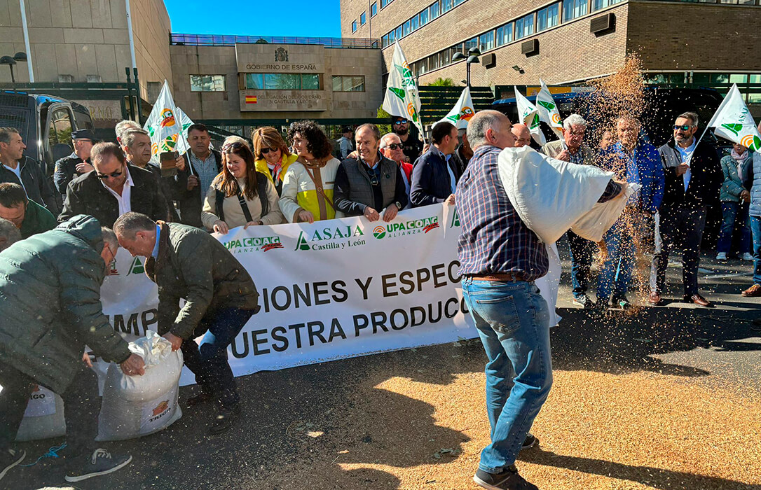 Los agricultores cerealistas de CyL reclaman soluciones que garanticen su continuidad: «Hace dos años el precio era de 360 euros, ahora a penas 200»