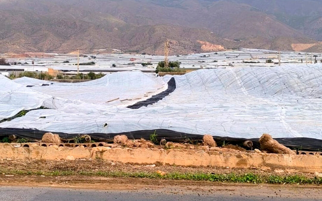 Agroseguro recuerda que los daños por la DANA están cubiertos por el sistema de seguros agrarios y habilita un correo electrónico específico