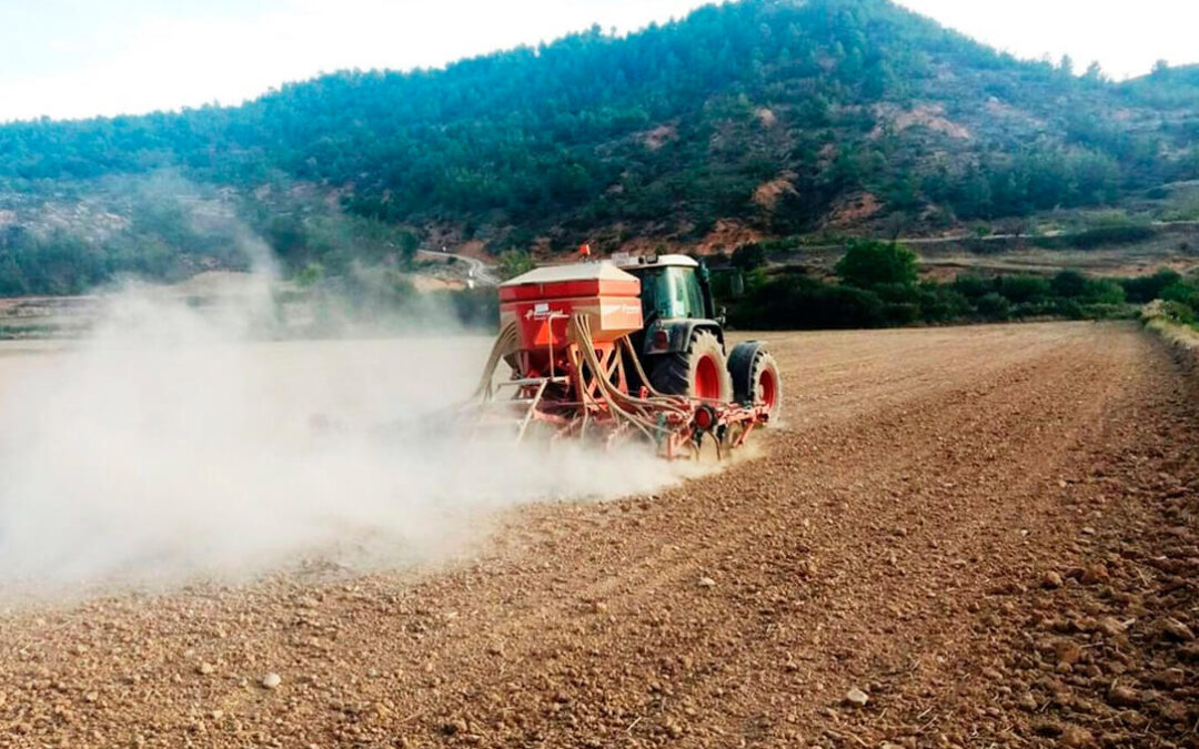 El Gobierno modifica las intervenciones sectoriales de la PAC en frutas y hortalizas, vitivinícola y apícola para mejorar su eficacia