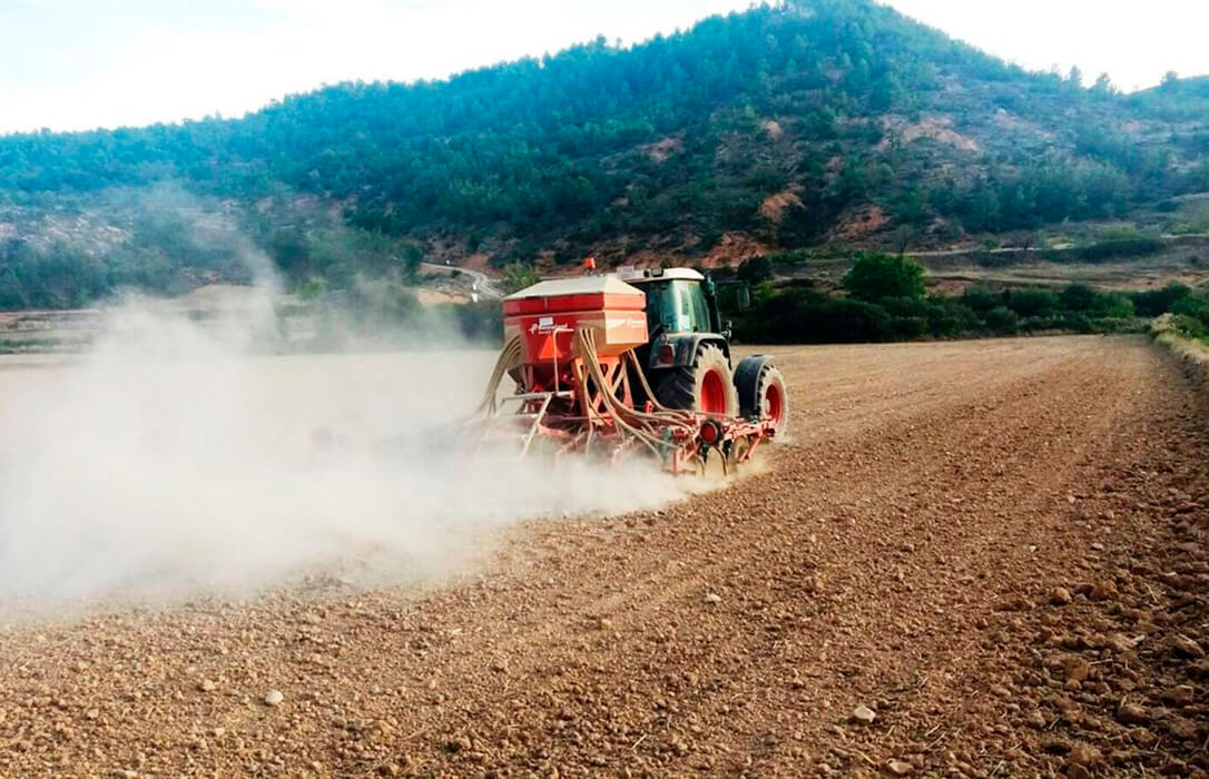 El Gobierno modifica las intervenciones sectoriales de la PAC en frutas y hortalizas, vitivinícola y apícola para mejorar su eficacia