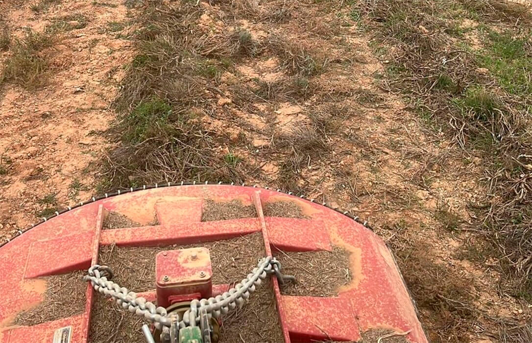 Agricultores comienzan a arrancar sus plantaciones de lavanda por falta de rentabilidad y para dar paso a otros cultivos más tradicionales