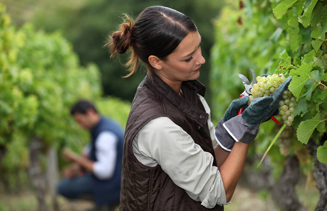 Andalucía publica la convocatoria de ayudas para jóvenes agricultores por valor de 130 millones para incentivar el relevo generacional