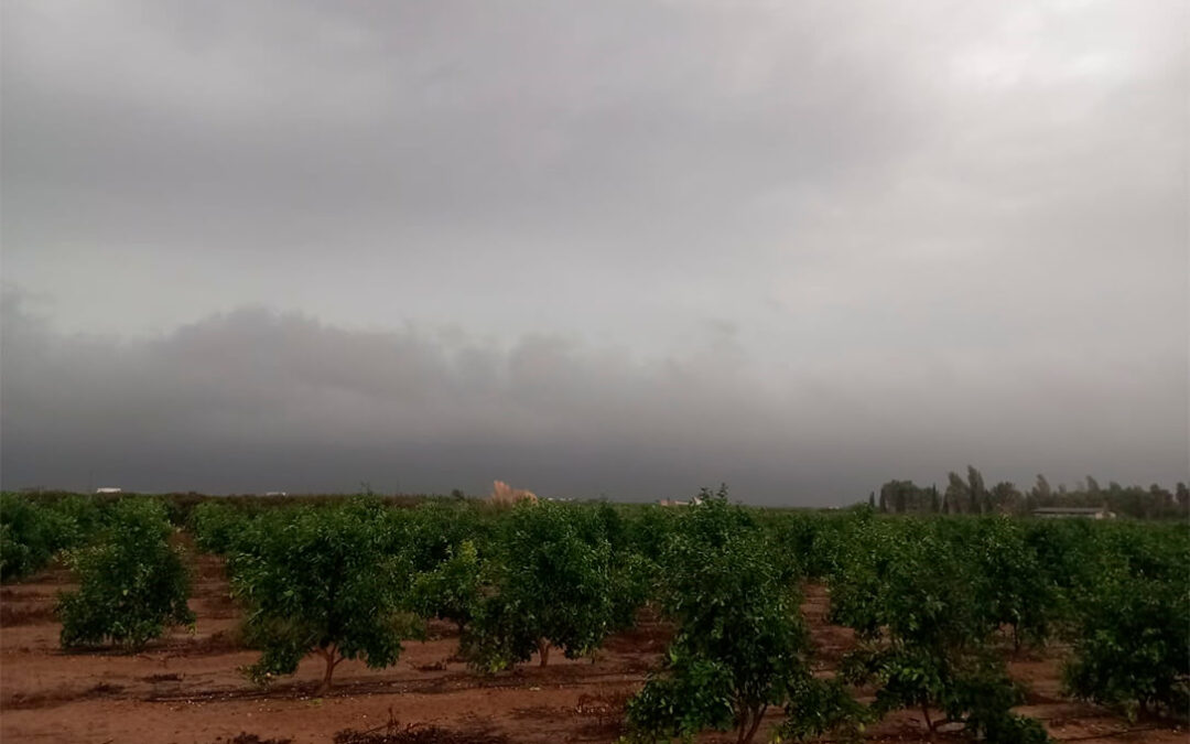 La DANA causa daños en cultivos, caminos, infraestructuras y almacenes de la C. Valenciana pero alivia el campo tras la sequía