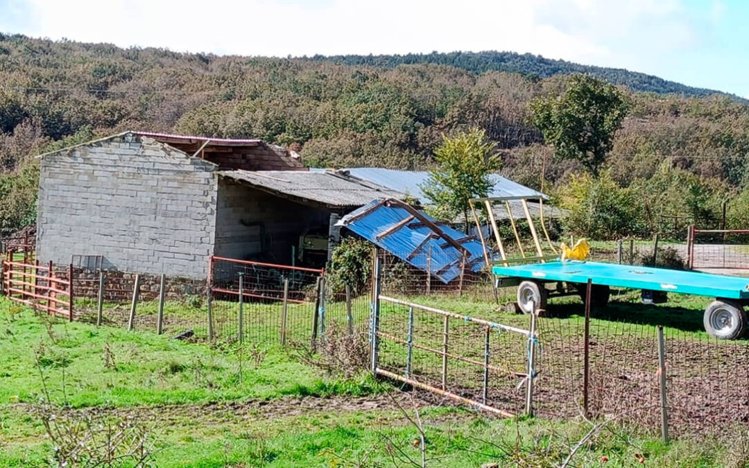 Consideran necesario habilitar un plan de ayudas tras los graves daños en las instalaciones agrícolas por el temporal en Castilla y León