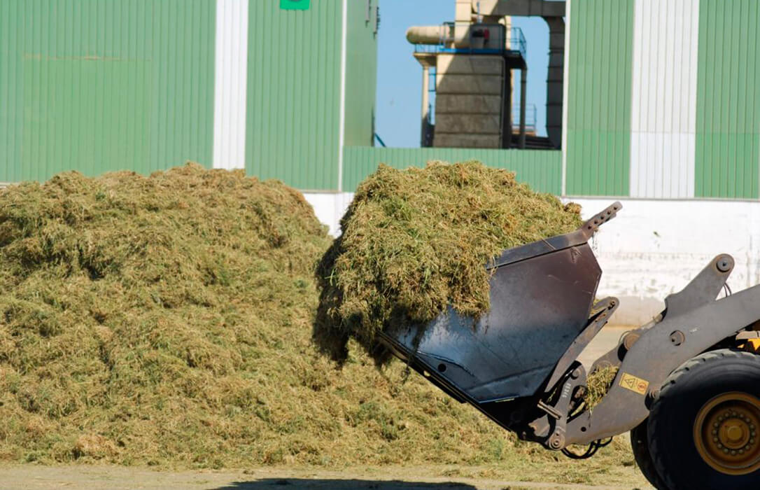 La alfalfa acaba una buena campaña en campo, con más producción, por encima del millón de toneladas, y un abaratamiento del 36%