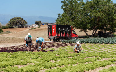 El negocio familiar que ha logrado facturar 30 millones y que cuenta con el sello ‘Calma Eladio’, para apoyar a la agricultura de cercanía