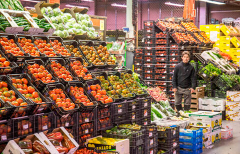 Los exportadores de tomate confían en que se cumpla la anulación del acuerdo con un Marruecos que pasa de la sentencia