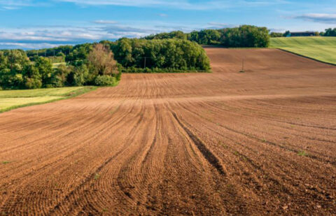 El Gobierno introduce nuevas flexibilidades en la PAC sobre la aplicación de los eco-regímenes y elimina la obligatoriedad de las geoetiquetas