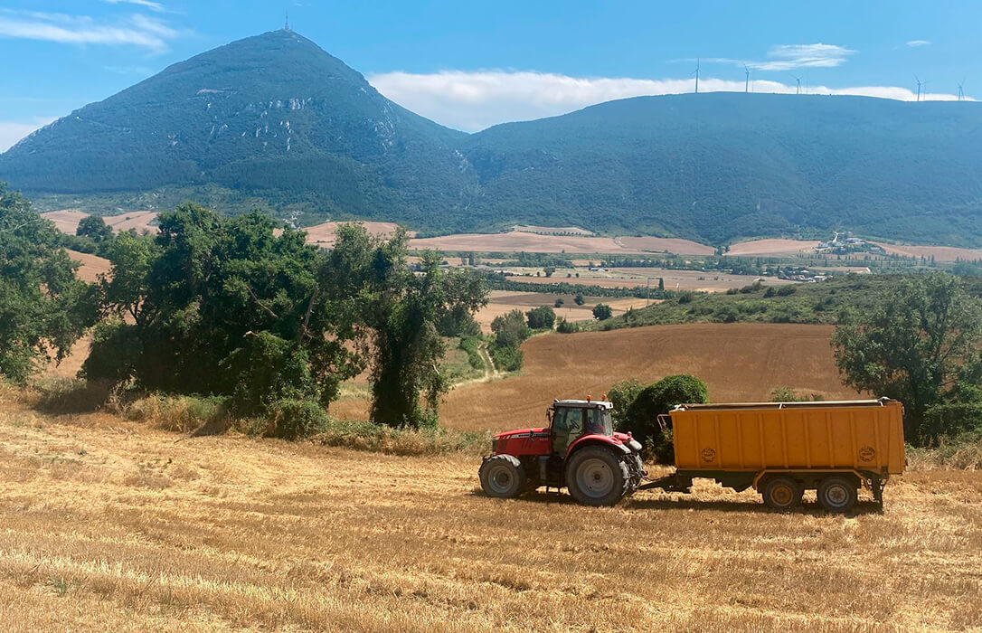 Enfado con las flexibilizaciones de la PAC en Navarra: suspenden “controles y sanciones” solo a empresas agrarias de menos de 10 hectáreas