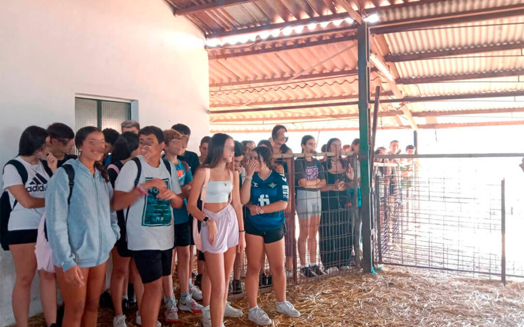 Jornada para jóvenes para poner en valor de la ganadería extensiva de la Sierra de Cádiz y dar a conocer la actividad ganadera de la zona