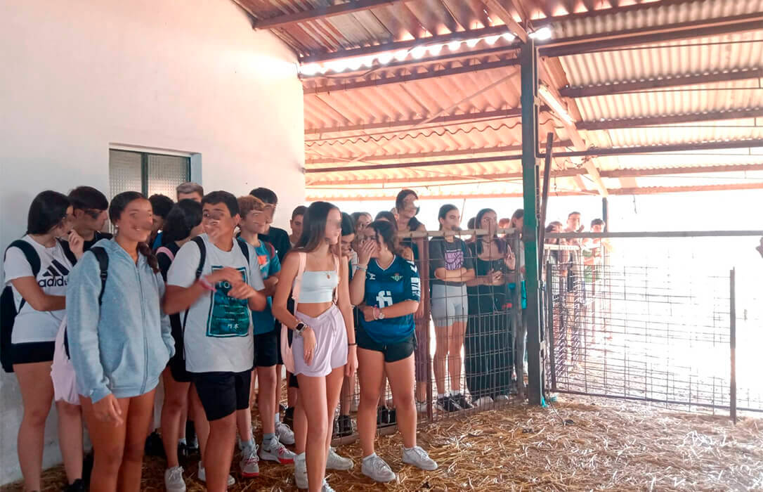 Jornada para jóvenes para poner en valor de la ganadería extensiva de la Sierra de Cádiz y dar a conocer la actividad ganadera de la zona