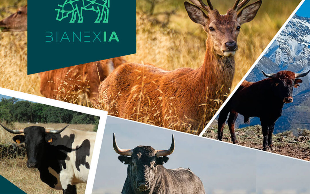 BIAnexia, el primer grupo operativo europeo para mejorar el bienestar animal a través de inteligencia artificial en ciervos y ganadería bovina extensiva