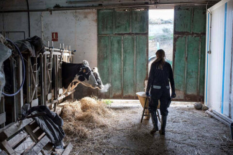 El papel de las mujeres rurales en la dinamización del territorio, conservación de los ecosistemas y mantenimiento de las tradiciones