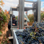 Seguiremos luchando por la supervivencia de los viticultores riojanos