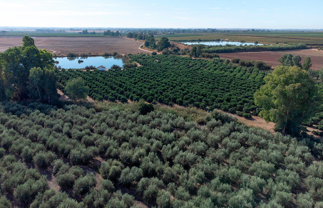 UPA da por cumplida la principal reivindicación de las tractoradas y de su acuerdo con el Gobierno: «La PAC se simplifica»