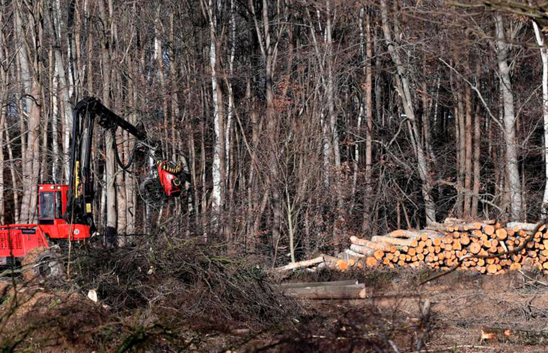 Bruselas cede a la presión y el rechazo agrarios a la ley contra la deforestación y propone aplazarla un año