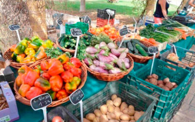 Andalucía impulsará la creación de una red de municipios con mercados locales ecológicos