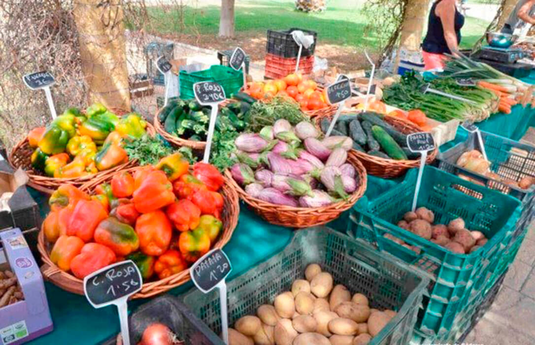 Andalucía impulsará la creación de una red de municipios con mercados locales ecológicos