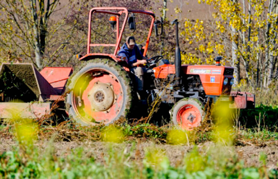 Los agricultores y ganaderos españoles podrán empezar a percibir 2.600 millones en pagos anticipados de la PAC desde hoy y hasta el 30 de noviembre