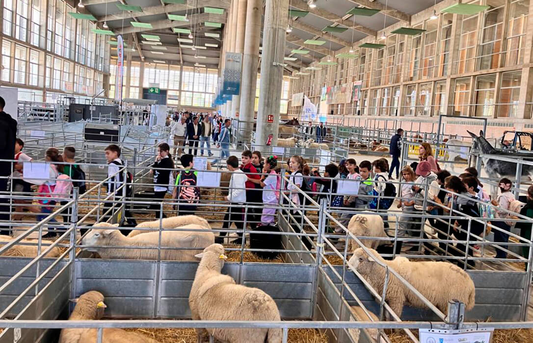 La lengua azul obliga a posponer un año la celebración del 25 aniversario de FEGASUR, la feria ganadera más importante de Cádiz