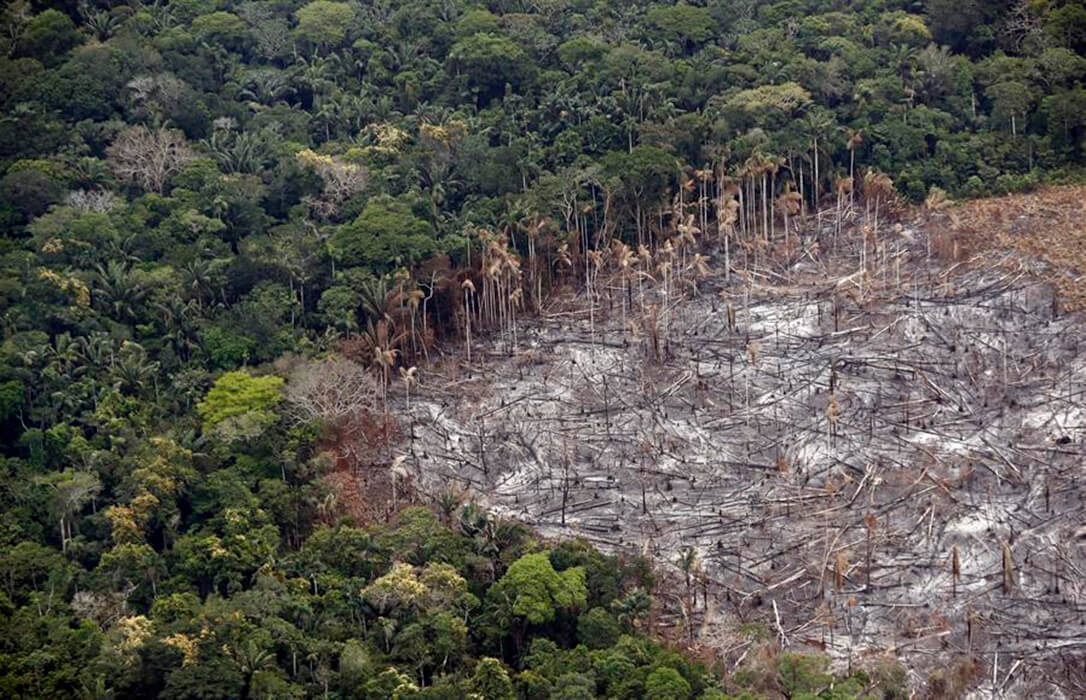 Los países de la UE avalan retrasar 12 meses la ley anti-deforestación y ya solo falta el respaldo de la Eurocámara para frenarla