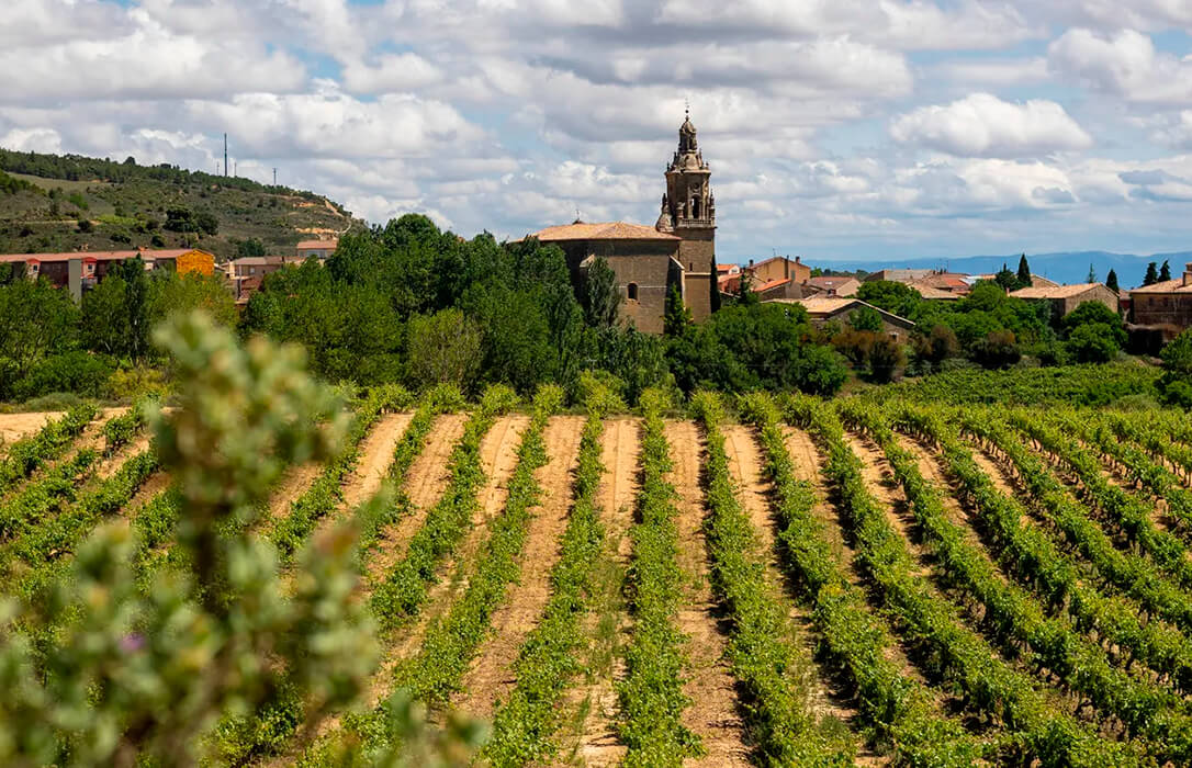 Regiones de España: un viaje por donde la agricultura y la naturaleza se fusionan para ofrecer experiencias únicas