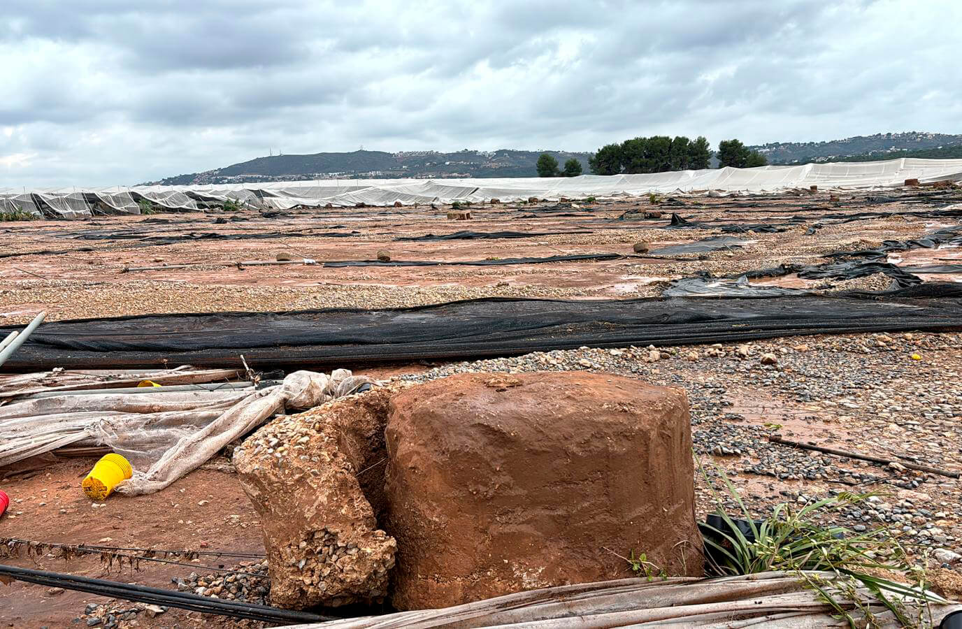 La letra pequeña: denuncian que las ayudas directas de la DANA dejarán fuera a más del 80% de los agricultores y ganaderos