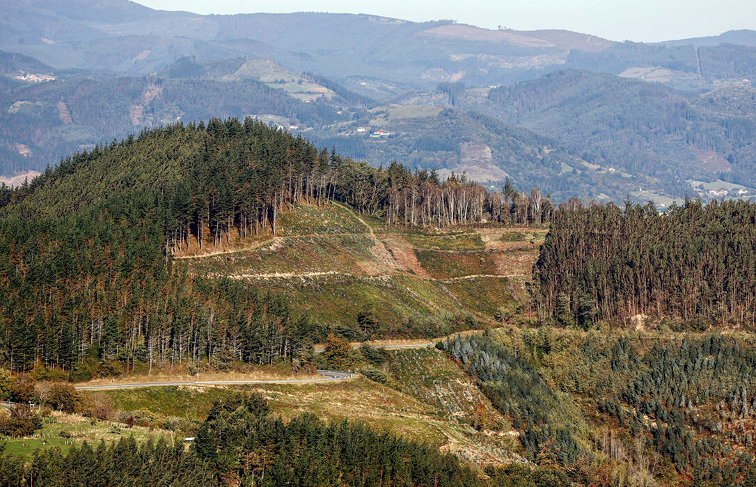 La apuesta de Euskadi en bioeconomía forestal, protagonista en la Bioeconomy Regions Summit 2024 de Bruselas