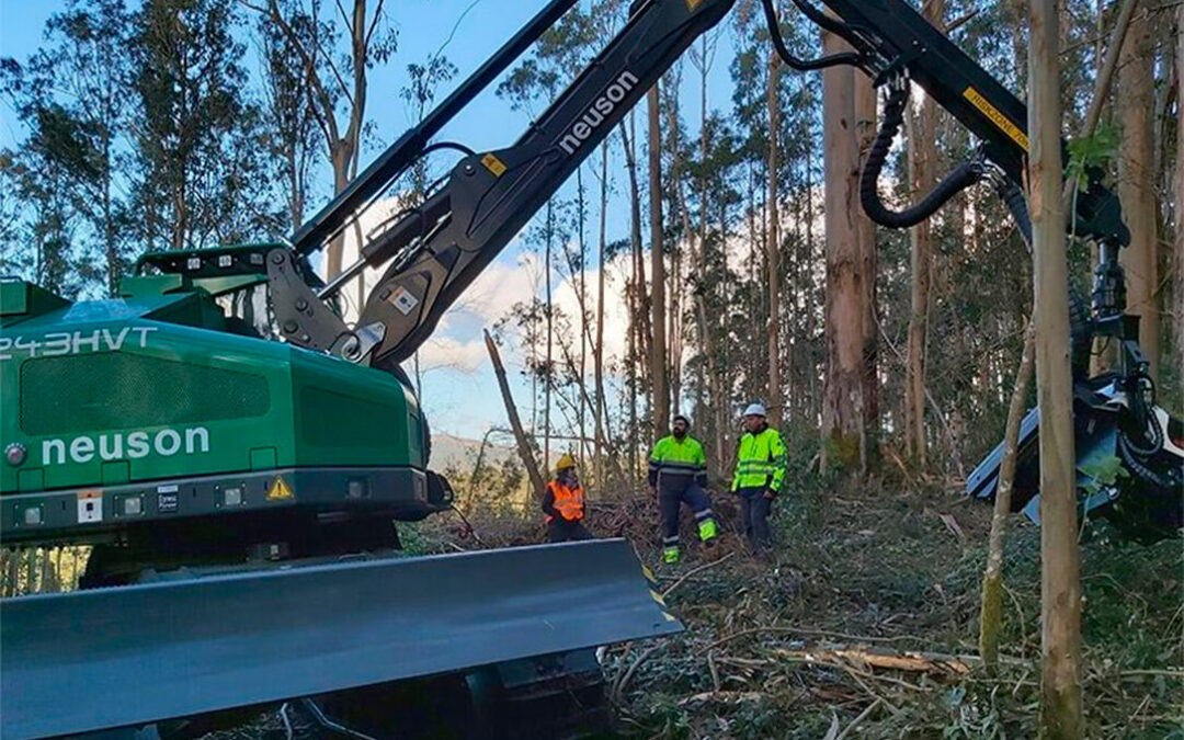 Cesefor impulsa la digitalización forestal en Castilla y León con el proyecto SingleTree y optimizar las cadenas de valor forestales