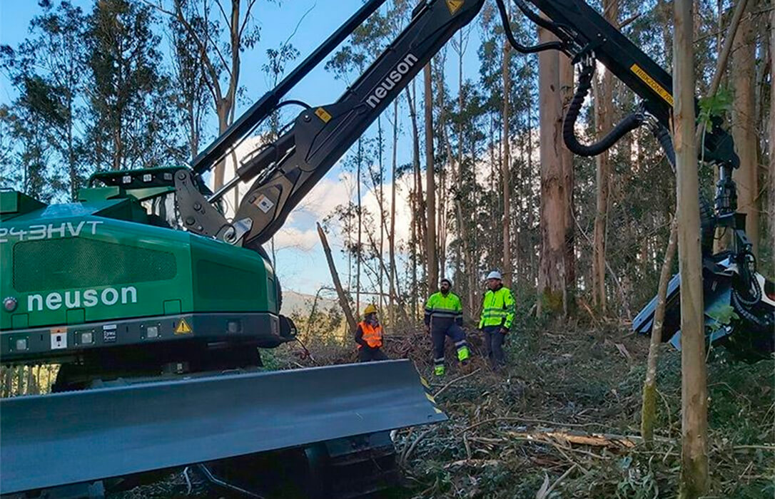 Cesefor impulsa la digitalización forestal en Castilla y León con el proyecto SingleTree y optimizar las cadenas de valor forestales