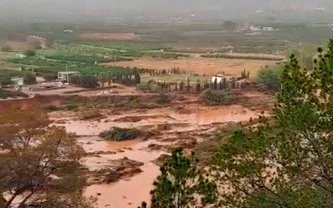 Agricultores y ganaderos, «desolados» por el desastre humano y material causado por la DANA: guía de los daños en el campo por CCAA