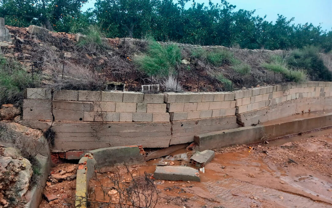 Se estiman unos daños iniciales en el campo valenciano por la DANA de 816 millones: las principales pérdidas son estructurales