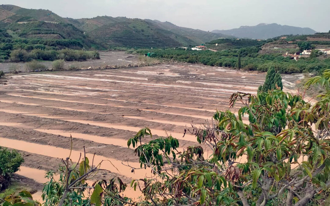 Llueve sobre muy mojado: alertan de graves daños ocasionados en agricultura y ganadería tras el paso de la segunda DANA por Málaga