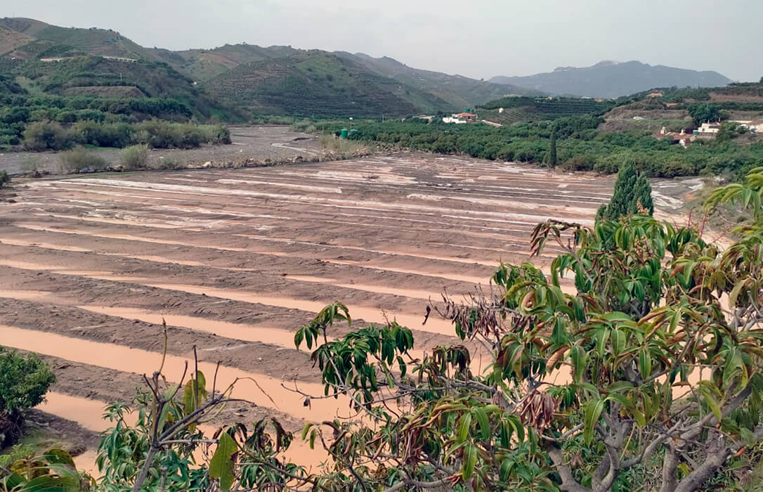 Llueve sobre muy mojado: alertan de graves daños ocasionados en agricultura y ganadería tras el paso de la segunda DANA por Málaga