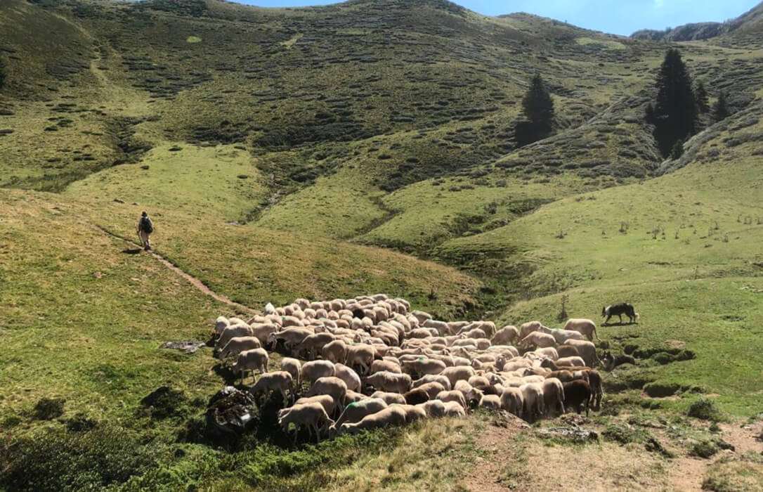 Alianza Rural se refuerza tanto en Europa como ante las administraciones nacionales con la incorporación de la europea ELO